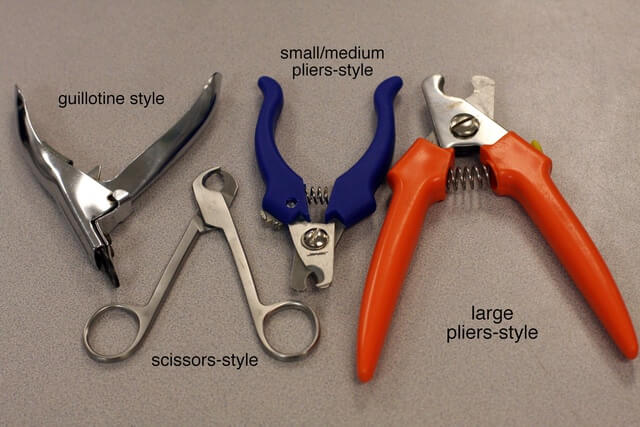 Dew claw clippers on sale