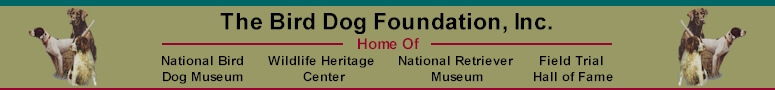 Dog Breed Museums