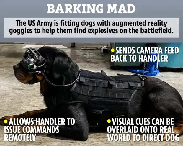 AUGMENTED REALITY FOR WAR DOGS