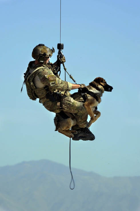 HISTORY OF MILITARY, ARMY & WARFARE DOGS