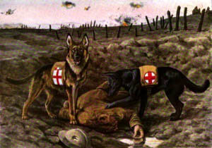 MILITARY GERMAN SHEPHERD DOGS