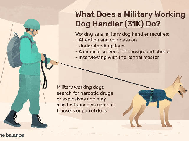TRAINING MILITARY WORKING DOGS