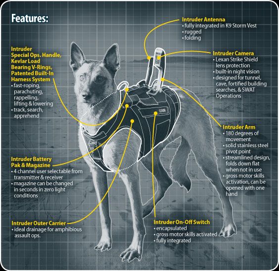 HISTORY OF MILITARY, ARMY & WARFARE DOGS