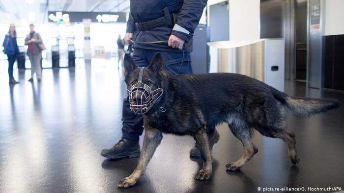 HISTORY OF POLICE DOGS