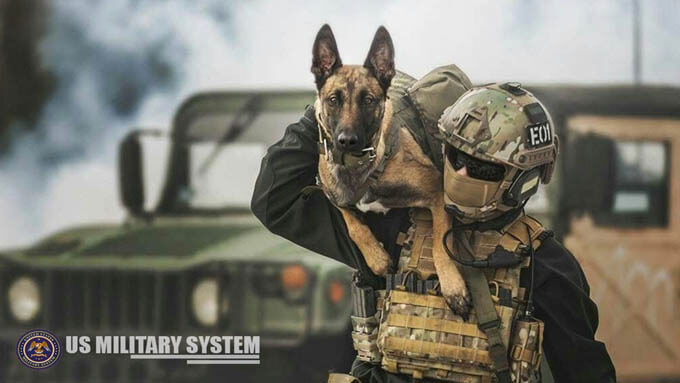 TYPES OF WAR DOGS