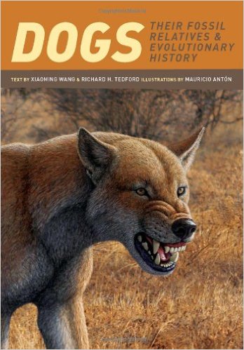 DOG EVOLUTION, ORIGINS and HISTORY