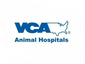Dog Fleas, Mites and Ticks
