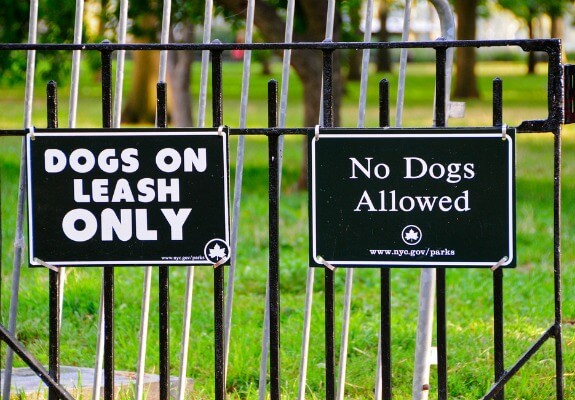 Dogs and Laws, Governmetnal Dog Organizations