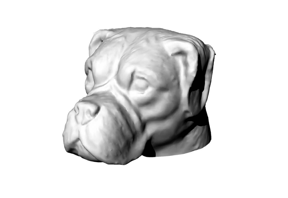 Dog Head Structure