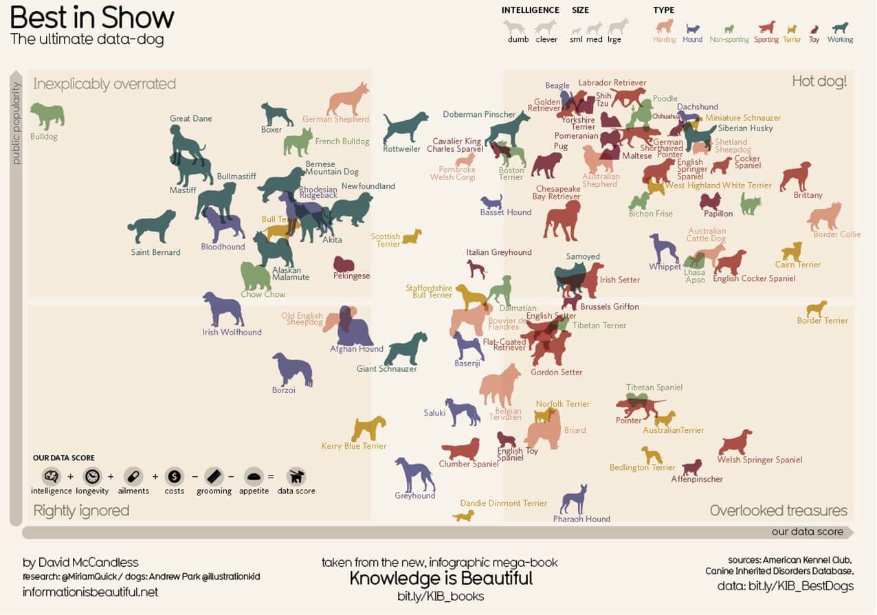 PRESS TO SEE FULL SIZED DOG INTELLIGENCE by BREED INFOGRAPHICS