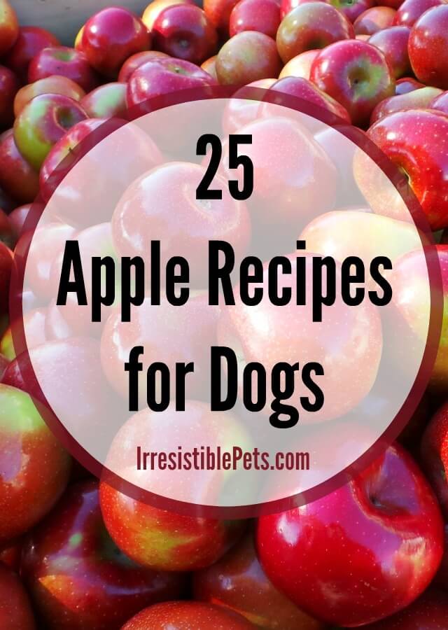 25 Apple Dog Food Recipes