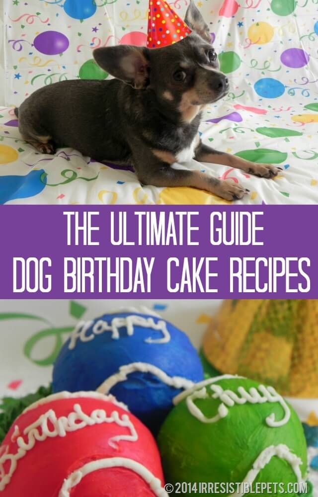 Dog Birthday Cakes & Cookies Recipes