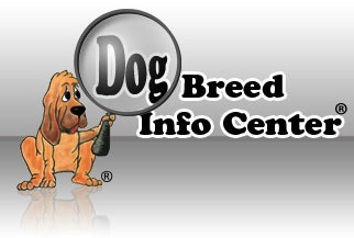 WWW.DOGBREEDINFO.COM