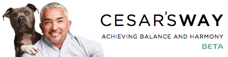 WWW.CESARSWAY.COM