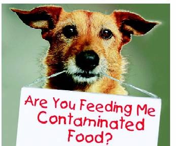 Dog Poison & Dangerous Food