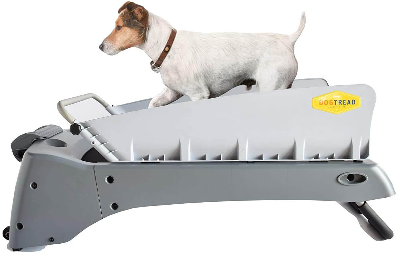 DOG TREADMILL BUYING GUIDE