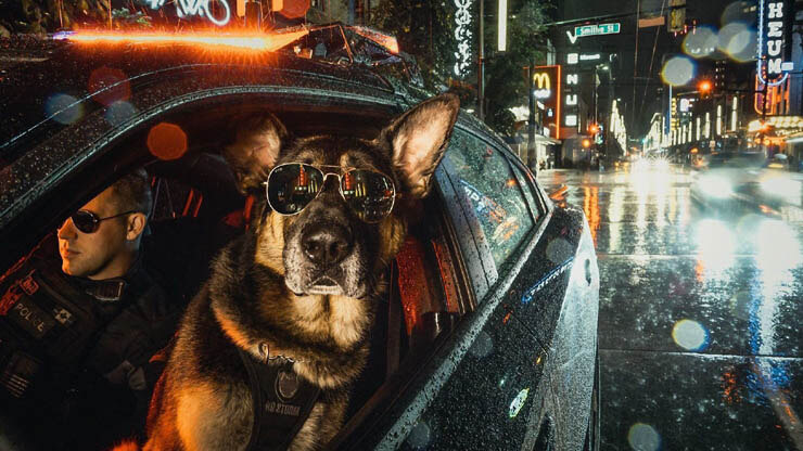 POLICE DOG TYPES & ROLES