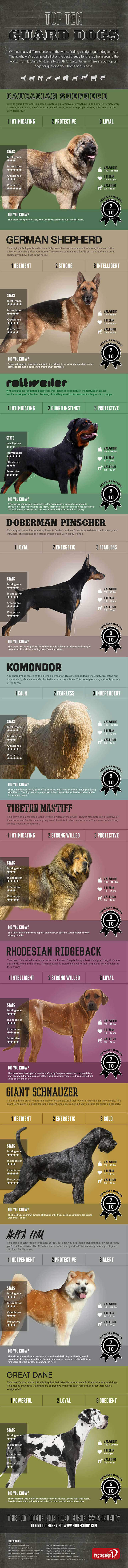 HISTORY OF GUARD DOGS - INFOGRAPHICS, PRESS TO DOWNLOAD