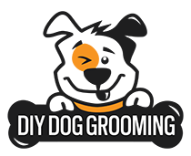 PET FRIENDLY PLACES ALL OVER THE WORLD by DIYDOGGROOMINGHELP.COM