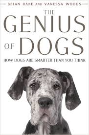Dog Intelligence