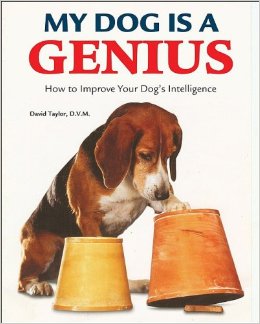 Dog Intelligence