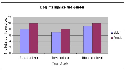 Dog Intelligence and Brain