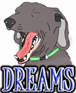 DOG DREAMS & SLEEP