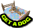 GET A DOG !