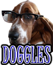 DOG GLASSES - DOGGLES