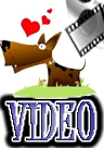 DOG VIDEOS