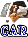 DOG IN CAR - DOGICA®