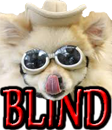 BLIND DOGS - DOGICA®