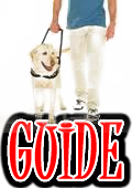GUIDE DOGS