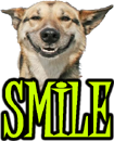 DOG SMILE