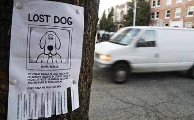 30 TIPS FOR FINDING A LOST DOG