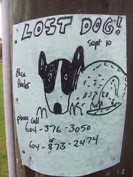 lost missing dogs and puppies
