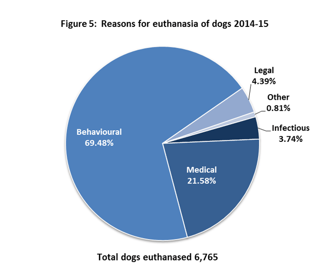 Dog Euthanasia Statistics, Dog R.I.P, How to deal with Pet Loss, Virtual Dog Memorials