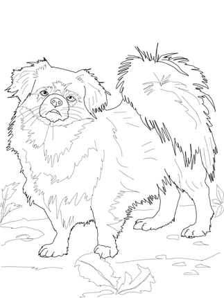 DOG COLORING FREE TEMPLATES