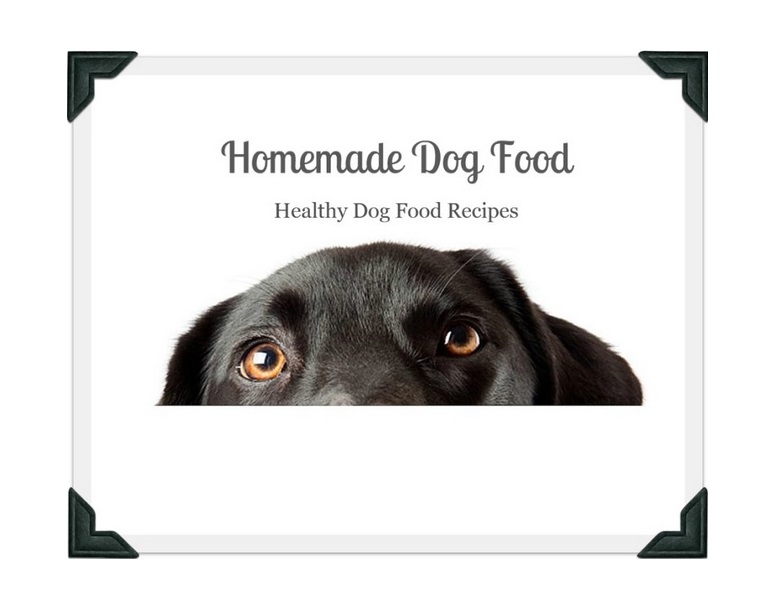 HEALTHY HOMEMADE DOG FOOD RECIPES