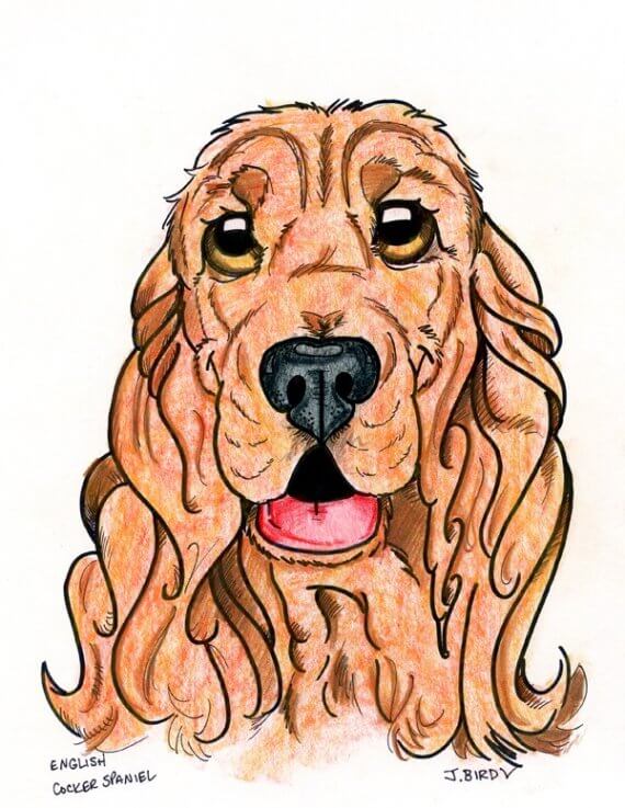 DOG ART, DRAWINGS, PAINT, Dogicature (c) by J.Bird