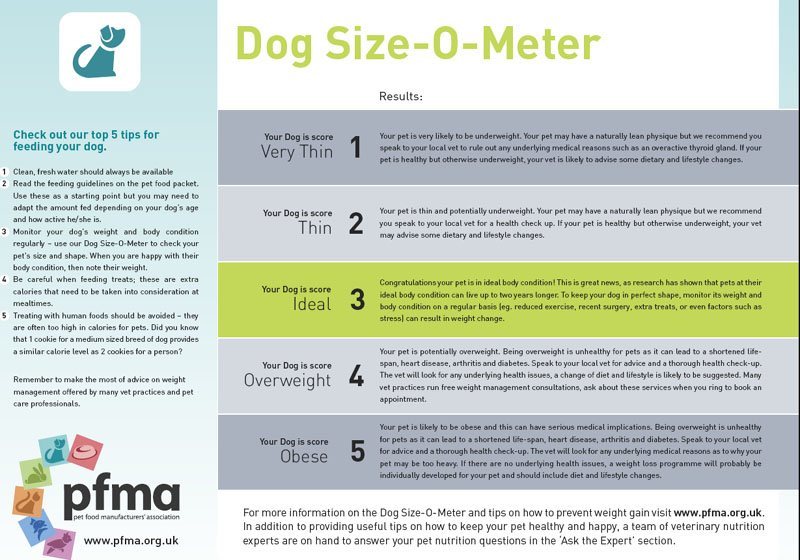 PUPPY DOG SIZE GUIDE