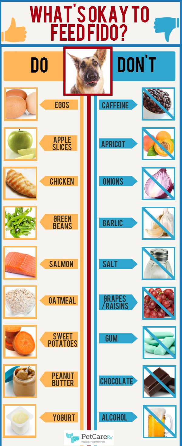 What Can You Feed Dogs Besides Dog Food Flash Sales 