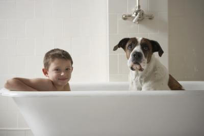 DOG VS HUMAN SHAMPOO, BATH, SHOWER