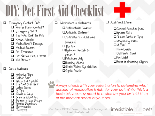Dogs Medicine, Veterinary, First Aid