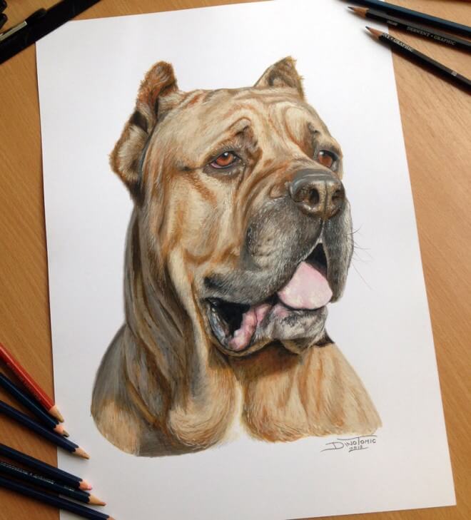 DOG ART, DRAWINGS, PAINT