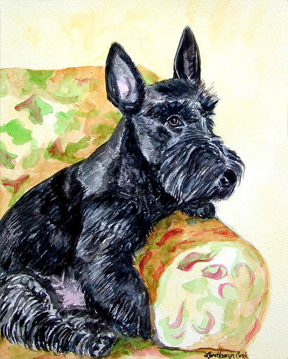 DOG ART, DRAWINGS, PAINT by LYN HAMER COOK