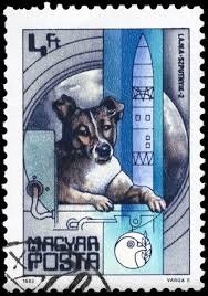 SOVIET SPACE DOG DRAWINGS