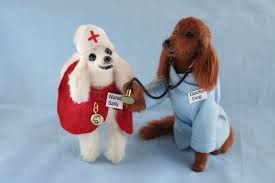 Dogs Medicine, Veterinary, First Aid