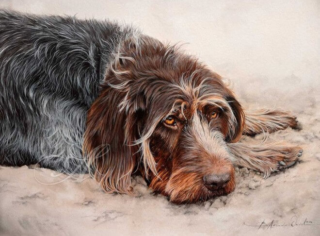 DOG ART, DRAWINGS, PAINT