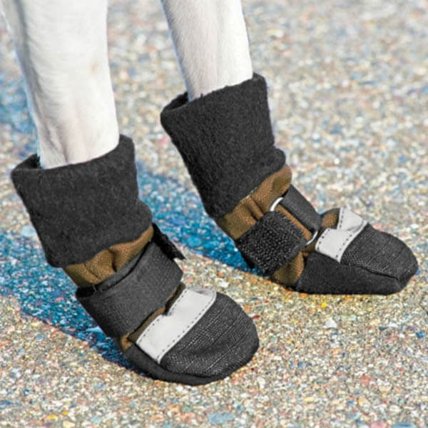 BEST DOG BOOTS